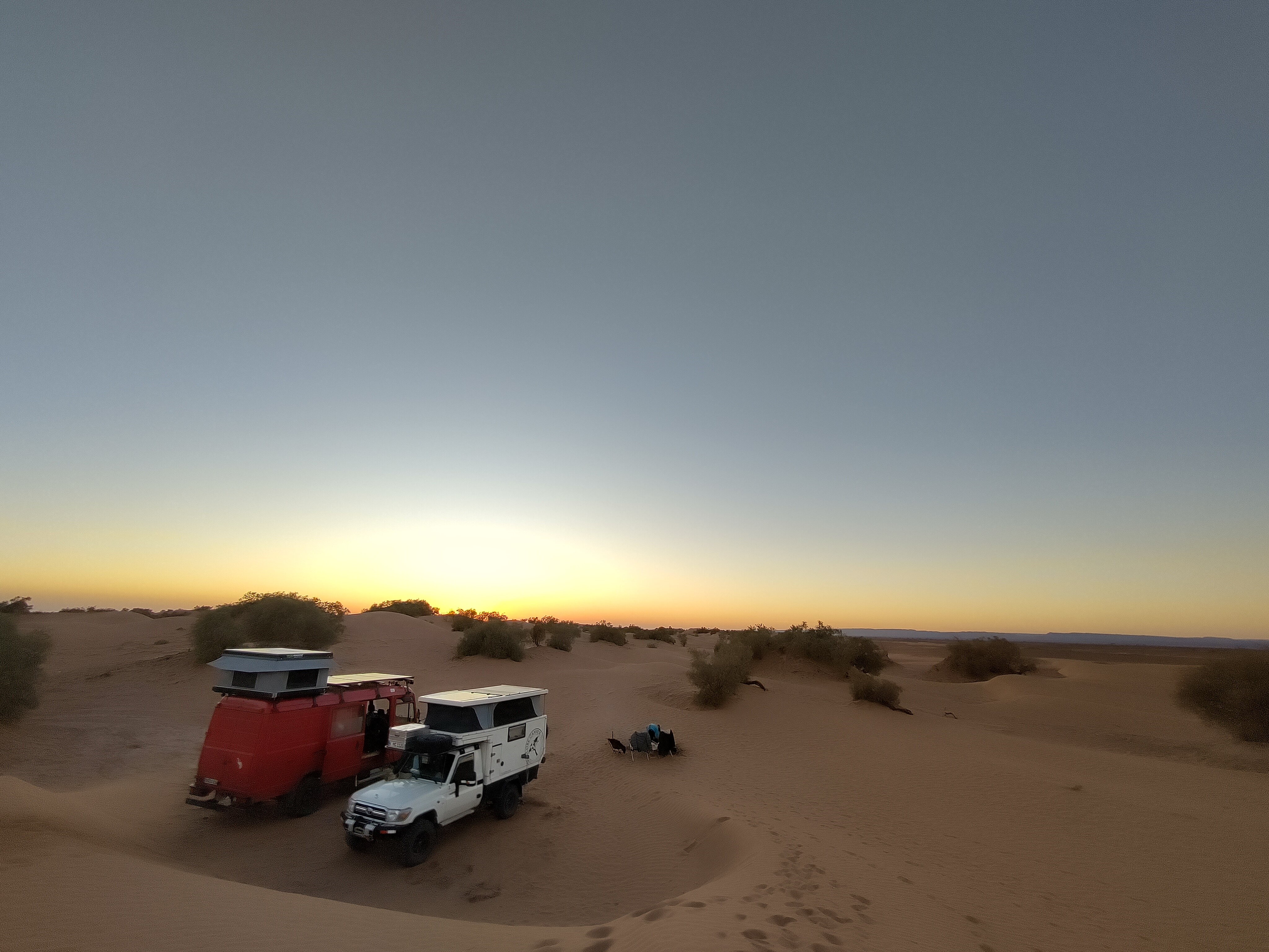 Blacksheep Coaching in the desert